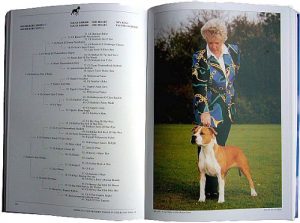 Boek Amerikaanse Staffordshire Terrier in Nederland II